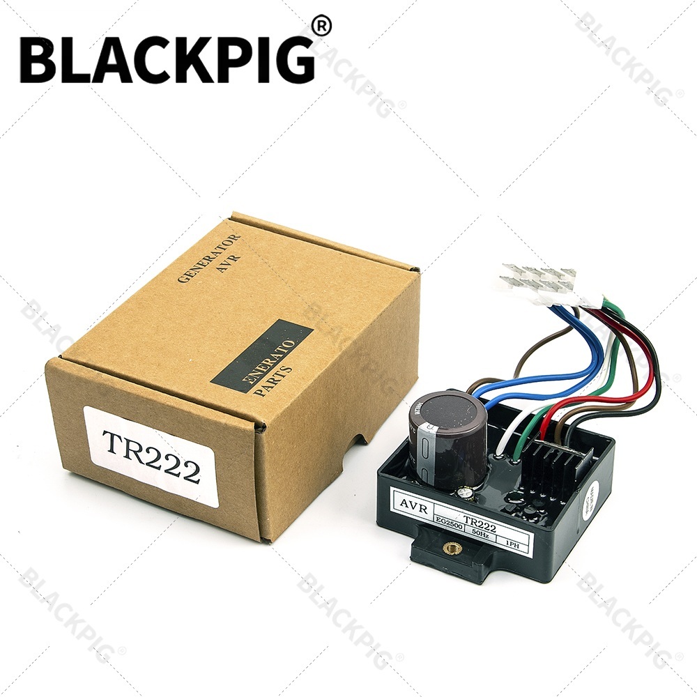 Cycloidal Reducer Bldc Motor - TR222 EG2500 AVR Automatischer Spannungsregler Stabilisator